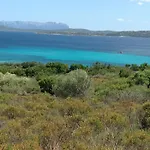 Terrabinu